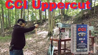 First Defensive 22 LR Jacketed Hollow Point CCI Uppercut 22 LR Ballistic Test VS CCI Stinger [upl. by Nonohcle]