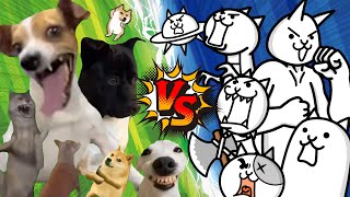 【にゃんこ大戦争】にゃんこ軍団 VS 犬ミーム軍団【アニメ】【猫ミーム】The battle cats VS Doge meme【Cat meme】 [upl. by Adnak488]