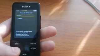 Подробный обзор плеера Sony Walkman NWZE584 review [upl. by Malorie972]