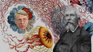 Hovinds Haeckel Hooey [upl. by Ertnom621]