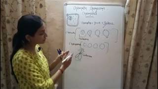 BIOLOGY Lecture 3  Chromatin Chromosome and Chromatid  Genetics Biology [upl. by Eniamraj]