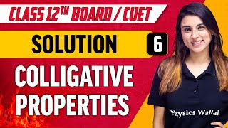 Solutions 06  Colligative Properties  Class 12thCUET [upl. by Ilac]