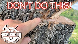 No Nonsense Guide to Tree Felling How to cut down a tree safely FarmCraft101 [upl. by Jonina]