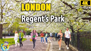 Regents Park London  Walking Tour  Look Around London 4K [upl. by Otti]