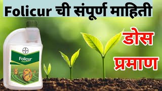 फॉलीक्युअर बुरशीनाशक  folicur fungicide details [upl. by Mikah]