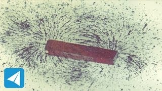 Iron filings reveal lines of force Magnetism  Physics [upl. by Mcintosh910]