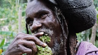 Rastafarian encounter in the Canaan Mountains Jamaica [upl. by Onivag168]