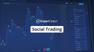 Social Trading  Trading Education  ExpertOption [upl. by Ennywg458]