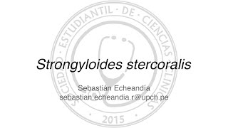 Strongyloides stercoralis [upl. by Kaplan660]