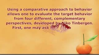 What is Comparative Psychology [upl. by Haslam]