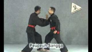 How to Learn Pencak Silat Kembangan Garis Paksi Indonesia [upl. by Amoakuh]