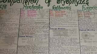 Bryophytes BSc Biology 1st year comparision [upl. by Pitts]