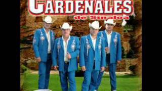 Cardenales De Sinaloa  Chema Arroyo [upl. by Nylqcaj]