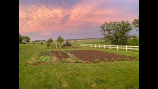 How We Use Grass Clippings as a Weed Barrier on our Garden [upl. by Benedict]