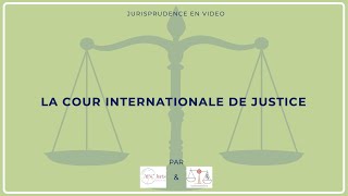 COUR INTERNATIONALE DE JUSTICE ou CIJ droit international public 🔤 [upl. by Ateekram917]