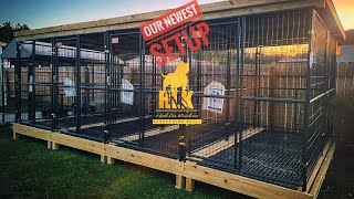 The Outdoor Dog Kennel Setup that Just Keeps Getting Better The Build and Setup  North Carolina [upl. by Lounge542]