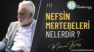 NEFS NEDİR  NEFSİN MERTEBELERİ NELERDİR [upl. by Aruasor]