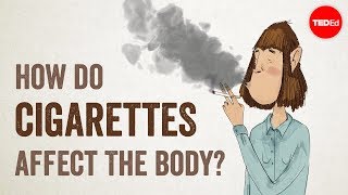 How do cigarettes affect the body  Krishna Sudhir [upl. by Tacklind]