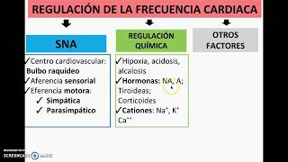 GASTO CARDIACO REGULACIÓN DE LA FRECUENCIA CARDIACA RESUMEN [upl. by Arrakat]