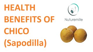 Chico Fruit Sapotachikoochiku Hygienic Food and Numerous Health Benefits Of Eating Sapodilla [upl. by Asiilanna]