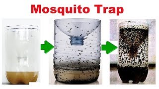 Mosquito Trap  How to Make a Home Made Mosquito  Easy and Effective  Eco Friendly Mosquito Traps [upl. by Ainadi]