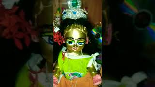 Gopal Status Video shortsvideo gopal krishna [upl. by Feledy748]