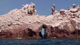 Baja and the Sea of Cortez on a Moorings 47 foot Powercat [upl. by Ripp]