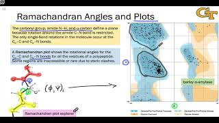 Ramachandran plot Basic for CSIR NET LIFESCIENCE [upl. by Dnomse]