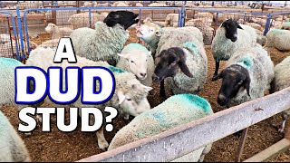 A WEEKEND IN THE LIFE OF A SHEEP amp GRAIN FARMER A bad ram a limping ewe amp planting corn VLOG 283 [upl. by Htrow]