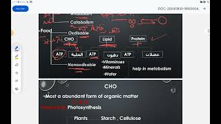 Introduction To Biochemistry [upl. by Frodeen]