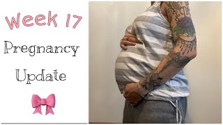 Week 17 Pregnancy Update [upl. by Eizzil]