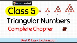 Triangular numbers class 5 Maths [upl. by Riggs108]