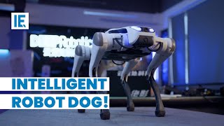 How Robot Dogs Are Changing Everything [upl. by Artenahs]