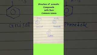 structure of anisol phenetole and aniline shorts youtubeshorts shortsviral chemistry [upl. by Aihcropal]