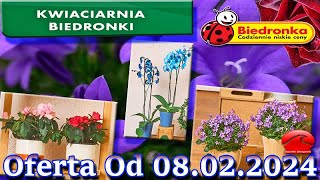 𝐁𝐈𝐄𝐃𝐑𝐎𝐍𝐊𝐀 🐞 Kwiaciarnia Biedronki Nowa Oferta Od 08022024  Kwiatowe Inspiracje Biedronki [upl. by Nannaihr]