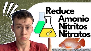 ELIMINA El Amonio Nitrito y Nitratos en tus Estanques Piscícolas  Te muestro cómo 🤯🐟🧪✅✅ [upl. by Brace]