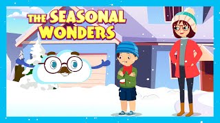 THE SEASONAL WONDERS  Tia amp Tofu  Storytime All Year Round Seasonal Adventures for Children [upl. by Noryak321]