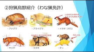 勝手に勉強！狩猟免許試験3 1 狩猟鳥獣判別 第3回 わな猟免許試験出題鳥獣 [upl. by Sucramd]