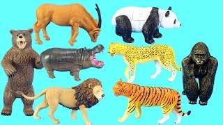 Animals Figures Toys Collection [upl. by Owiat]