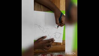 how to draw Twisting tiger from supa strikasstep by stepartist juan [upl. by Ardnayek]