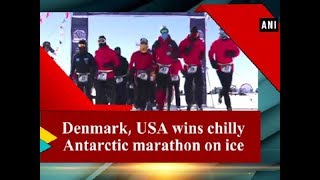 Denmark USA wins chilly Antarctic marathon on ice  ANI News [upl. by Adis]