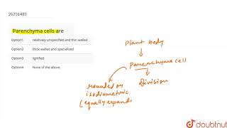 Parenchyma cells are [upl. by Sklar558]