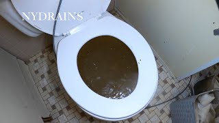 Clogged Drain 107 [upl. by Katz738]