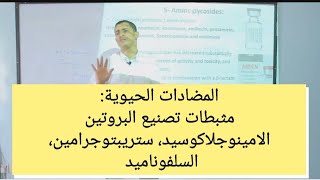 Antibiotic inhibit protein synthesis Aminoglycoside and sulfonamide المضادات الحيوية [upl. by Darius]