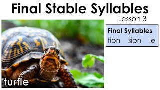 Final Stable Syllables  tion sion le  Lesson 3 [upl. by Lukas742]