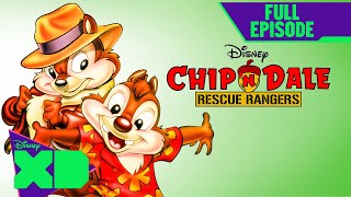 Chip n Dale Rescue Rangers First Full Episode  Under the Seas  S1 E1  disneyxd [upl. by Htinek]