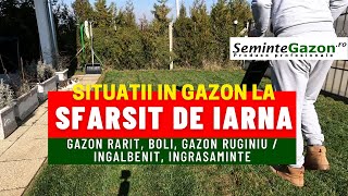 Gazonul dupa iarna Partea 1 Boli Gazon rarit Gazon la umbra Ingrasaminte [upl. by Auka]