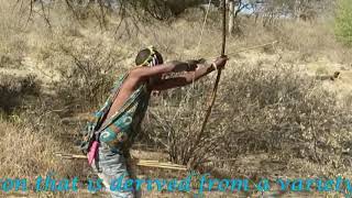 Hadzabe tribe the last hunters and gatherers of Tanzania  Edited by Carmine Salituro [upl. by Friedman]