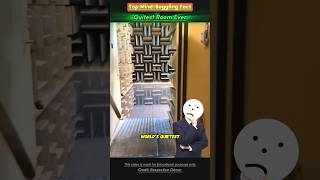 Can You Survive the Worlds Quietest Room shortsvideo [upl. by Anela]