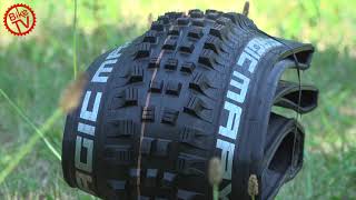 Test Schwalbe Big Betty und Magic Mary [upl. by Helena892]